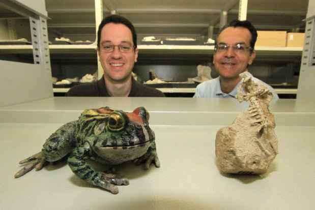 L. Adolfo/UFTM/Divulgação L. Adolfo/UFTM/Divulgação