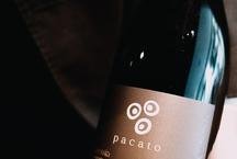 Pacato inicia celebra��es de seus cinco anos 