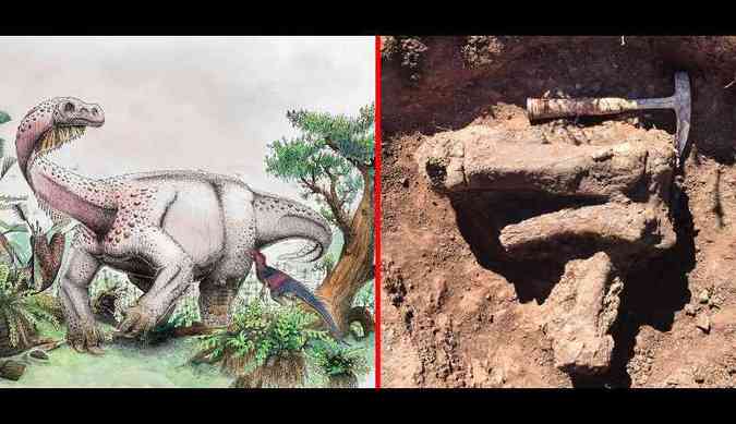 Os fsseis do Ledumahadi mafubeis foram descobertos na frica do Sul e mostram que ele era o maior dinossauro do perodo Jurssico(foto: Twitter/NewsEverydaySA/Reproduo)