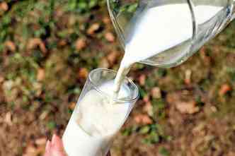 Segundo estudo feito pela Embrapa, o leite e seus derivados so fontes baratas para se conseguir 30% da necessidade humana de clcio, protena e vitaminas A e D(foto: Pixabay)