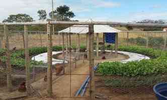 O projeto das hortas circulares agroecolgicas pretende ser uma soluo para a agricultura familiar de regies pobres de Minas Gerais(foto: Emater-MG/Divulgao)