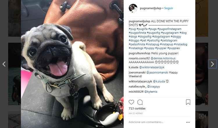 Instagram/Reprodução Instagram/Reprodução