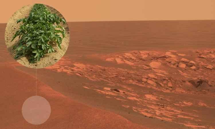 Mars.nasa.gov/Reprodução e Pixabay Mars.nasa.gov/Reprodução e Pixabay
