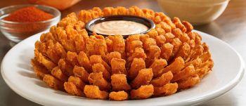 Outback.com.br/Reprodução Outback.com.br/Reprodução
