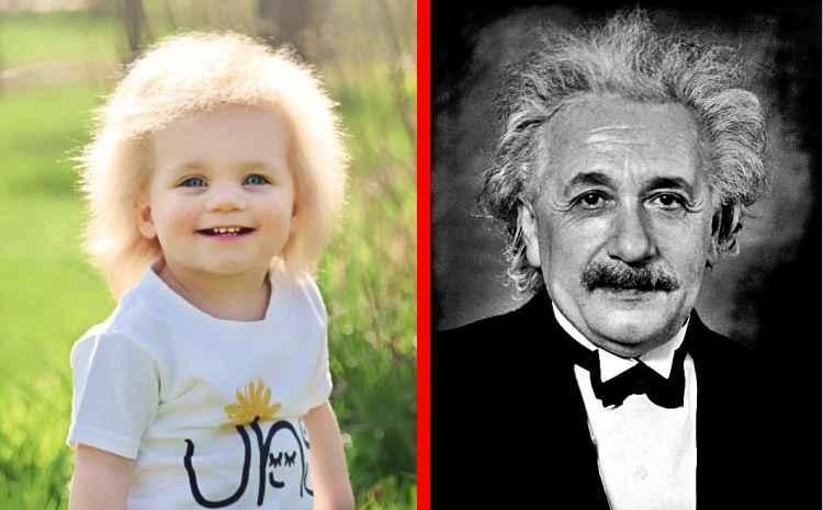 Facebook/BabyEinstein2.0/Reprodução e Sophie Delar/Wikimedia/Reprodução Facebook/BabyEinstein2.0/Reprodução e Sophie Delar/Wikimedia/Reprodução