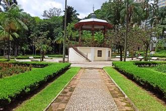Parque Municipal ter horrio especial para vacinao de gatos em julho