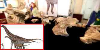 O Austroposeidon magnificus (no detalhe, o maior animal) foi descoberto em So Paulo, nos anos 1950, mas s agora foi identificado e reconhecido como o maior dinossauro brasileiro(foto: YouTube/AGENCIA EFE/Reproduo)