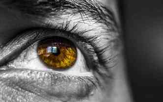No caso do infarto ocular, vasos sanguneos que alimentam a retina podem sofrer ocluses, levando at mesmo  perda da viso(foto: Pexels)