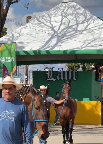 Programa��o re�ne competi��es, leil�es, shows, gastronomia e atividades para crian�as. (foto: Divulga��o/Acervo ABCCC - Associa��o Brasileira dos Criadores do Cavalo Campolina)