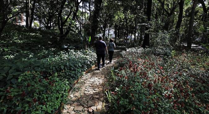 Durante o percurso, os visitantes podem observar as borboletas, conhecer a histria do parque e compreender sua importncia ambiental e cultural(foto: Ado de Souza/PBH)