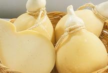 Minas celebra o Dia do Queijo Artesanal com anncio de festival da iguaria