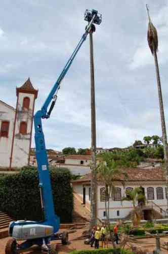 As famosas palmeiras do centro histrico do Serro no resistiram a uma descarga eltrica e esto sendo cortadas(foto: Gilmara Paixo e Tiago Geisler/Divulgao)