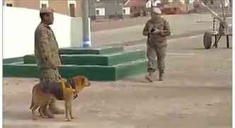 Em cerimnia inusitada, um cachorro ganha o ttulo de sargento do exrcito da Argentina. Curiosamente, pet  conhecido como Cabo(foto: Facebook/EjercitoArgentinoPaginaOficial/Reproduo)