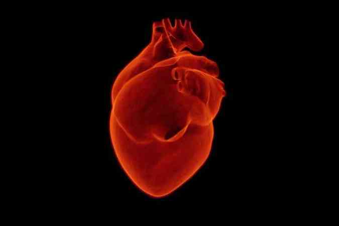 Cerca de 30% dos casos graves de covid-19 na China eram de pacientes hipertensos, segundo a cardiologista Daniela Linares Gaspar(foto: Pixabay)