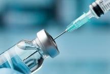 Vacina em estudo demonstra efic�cia contra c�lulas tumorais ligadas ao HPV