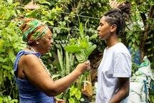 PBH abre mapeamento de benzedeiras e raizeiras na capital