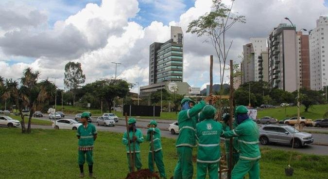 Plantio teve in�cio nesta quinta-feira (12)(foto: Fabiano Domingues/PBH)