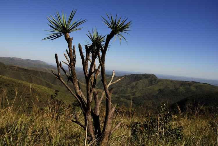 Parque Estadual da Serra do Rola-Moça/Divulgação Parque Estadual da Serra do Rola-Moça/Divulgação