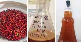 As pesquisadoras da USP usaram restos da produo de caf para produzir um vinho que, segundo elas, possui aroma suave, que remete a frutas e flores(foto: Anna Flavia de Souza Silva/Esalq/USP/Divulgao)
