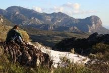 Descoberta na Serra do Espinha�o revela nova esp�cie de planta 