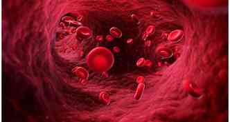 Segundo os cientistas japoneses, uma protena produzida em nosso corpo  capaz de impedir a infeco de uma clula pelo vrus do HIV(foto: Globalbiodefense.com/Reproduo)