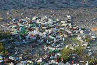 As toneladas de plstico jogadas todos os dias no mar se transformam em micropartculas que, ao serem confundidas com alimentos pelos animais marinhos, acabam contaminando as espcies(foto: Pixabay)