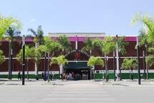C�mara aprova projeto que proibe venda de animais no Mercado Central