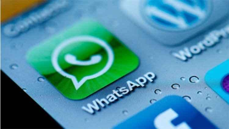 WhatsApp/Divulgação WhatsApp/Divulgação