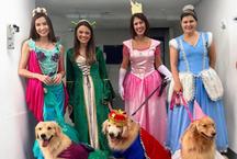 Minas Shopping sedia encontro de golden retrievers neste domingo (31)