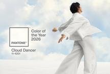 Cloud Dancer: profissionais mineiros analisam o branco da Pantone para 2026