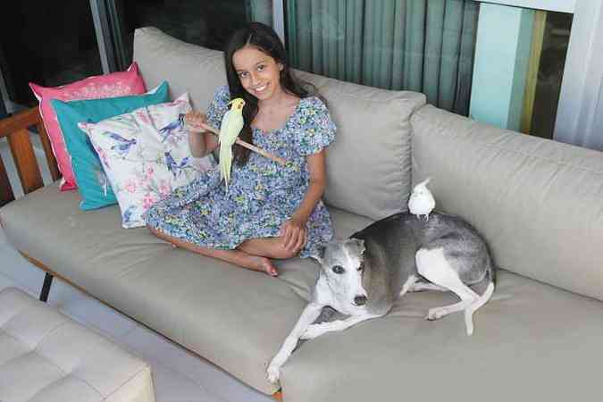 A estudante Letcia Costa Mundim Veloso, de 10 anos, no se cansa dos seus tutelados, as calopsitas Snow e Sunny, e a cadelinha Dorothy, da raa whippet: 