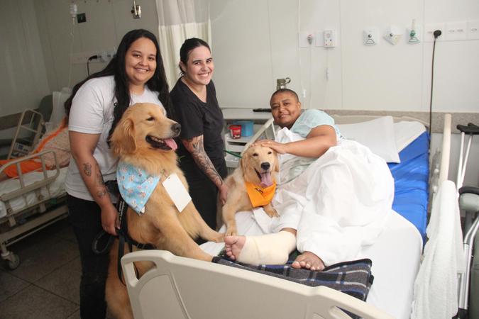 Ao lado da tutora e fisioterapeuta Ana Paula Fagundes e da social media Fernanda Rian Marinho, o golden retriever Hope e sua irmã Mia levam alegria e acolhimento a pacientes do Hospital Unimed Unidade Contorno, entre eles a Luciana Rodrigues da Silva (foto: Pádua de Carvalho) Ao lado da tutora e fisioterapeuta Ana Paula Fagundes e da social media Fernanda Rian Marinho, o golden retriever Hope e sua irmã Mia levam alegria e acolhimento a pacientes do Hospital Unimed Unidade Contorno, entre eles a Luciana Rodrigues da Silva (foto: Pádua de Carvalho)