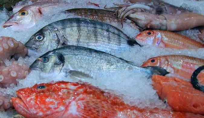 Segundo o Ministrio da Agricultura, em alguns estados existem fraudes em 40% dos peixes vendidos(foto: Pixabay)