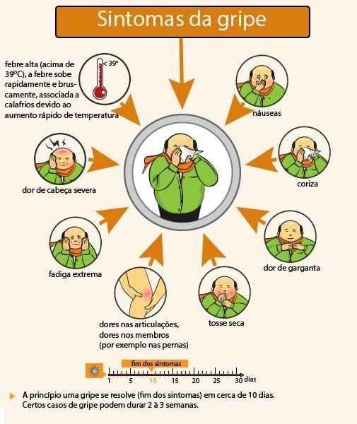 Saiba como a gripe se instala em nosso corpo - Atualidades
