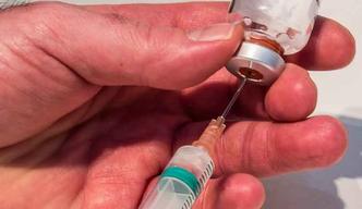 A Anvisa aproveitou a polêmica gerada pela vacina Dengvaxia, contra a dengue, do laboratório Sanofi-Pasteur, para esclarecer algumas dúvidas dos brasileiros(foto: Pexels) A Anvisa aproveitou a polêmica gerada pela vacina Dengvaxia, contra a dengue, do laboratório Sanofi-Pasteur, para esclarecer algumas dúvidas dos brasileiros(foto: Pexels)