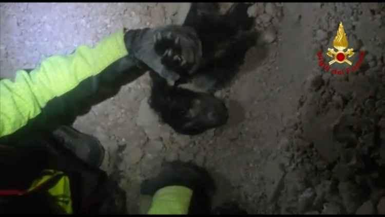 Corpo Nazionale dei Vigili del Fuoco/Divulgação Corpo Nazionale dei Vigili del Fuoco/Divulgação