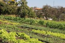 Zoolgico de BH  referncia na produo de comida natural para animais