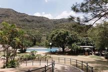 Projeto de Burle Marx ganha novas mudas em a��o no Parque do Pal�cio 