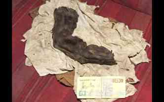 Fotgrafo suo registrou a imagem do inexplicvel dedo gigante mumificado, que fazia parte do acervo de uma famlia egpcia, conhecida por abrigar saqueadores de tumbas(foto: Gregor Sprri/Reproduo)