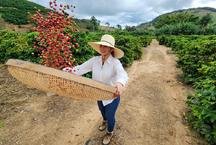 Exporta��es do agro mineiro alcan�am US$ 19,8 bilh�es em 2025