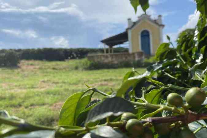 Fazenda Nova Aliança, em Monte Santo de Minas: propriedade produz café desde 1880 e está na 6ª geração(foto: Carolina Daher/Encontro)