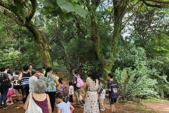 Parques municipais celebram anivers�rios com trilhas ecol�gicas gratuitas