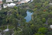 Belo Horizonte recebe selo "Cidade �rvore do Mundo" pelo 3� ano consecutivo