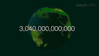 Estudo da Universidade de Yale, dos Estados Unidos, divulgado na revista cientfica Nature, mostra que o planeta Terra possui nada menos que 3,04 trilhes de rvores(foto: YouTube/Reproduo)