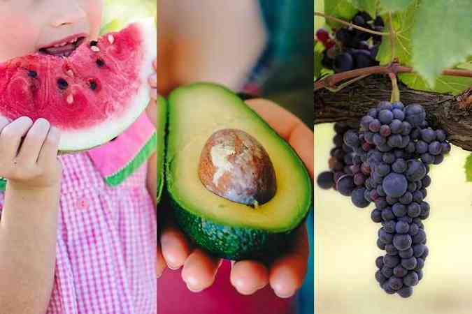 Alimentos vermelhos, verdes e roxos podem ajudar a prevenir o cncer(foto: Pixabay)