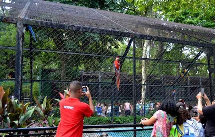 Facebook/riozoo.jardimzoologico/Reprodução Facebook/riozoo.jardimzoologico/Reprodução