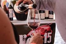 Festival Vinho na Vila chega � terceira edi��o 