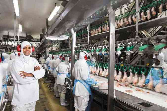 Funcionários na fábrica de Visconde do Rio Branco: todos os anos são abatidos cerca de 73 milhões de frangos e mais de 726 mil de suínos(foto: Arquivo pessoal)