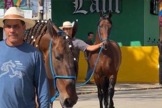 Exposi��o do Cavalo Campolina celebra 75 anos da ra�a na Gameleira