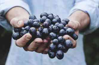 A uva  uma fruta rica em resveratrol, substncia que ajuda a proteger o corao. Agora, descobriu-se que esse nutriente tambm ajuda a tratar a doena de Chagas(foto: Pixabay)
